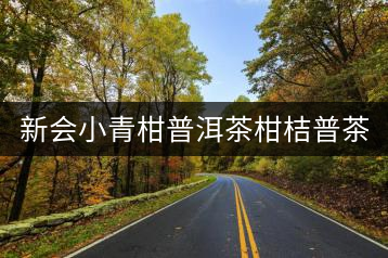 新會(huì)小青柑普洱茶柑桔普茶正宗新會(huì)生曬陳皮云南8年宮廷熟普包裝