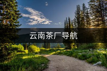 云南茶廠導(dǎo)航