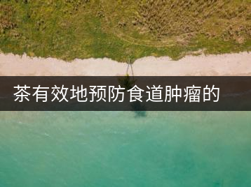 茶有效地預(yù)防食道腫瘤的發(fā)生