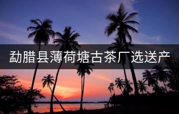 勐臘縣薄荷塘古茶廠選送產品榮獲2022年中港普洱茶博覽會金獎