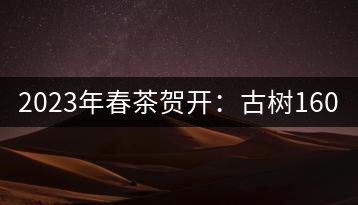 2023年春茶賀開:古樹1600-2500元