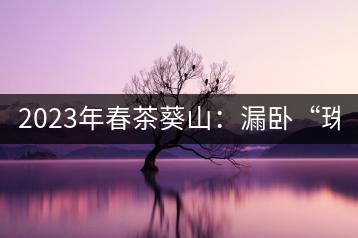 2023年春茶葵山：漏臥“珠江紅：1200元-3200元（有3個檔次）漏臥“大廠茶”：古樹單株8600-9000元／公斤，中樹4800-5200元／公斤，小樹混采2600-2800元／公斤。