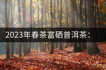 2023年春茶富硒普洱茶：1.富硒有機手工生普，市場指導價800元／公斤；2.富硒有機一級紅茶，市場指導價800元／公斤；3.富硒有機熟普餅，市場指導價1000元／公斤；4.富硒有機月光白茶，市場指導價800元／公斤。