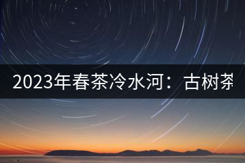 2023年春茶冷水河:古樹茶6000-6500元/公斤