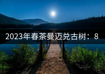 2023年春茶曼邁兌古樹：860元／Kg，小樹：180元／kg