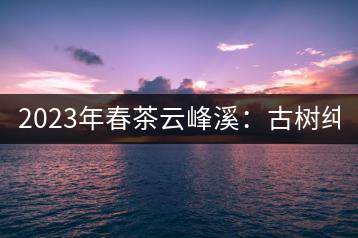 2023年春茶云峰溪：古樹純料：1200-1500元／公斤，古樹混采800-1000元／公斤，大樹500-800元／公斤，小樹300-500元／公斤