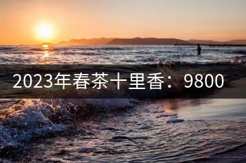 2023年春茶十里香：9800-12000元／公斤，十里香紅茶：9800-12000元／公斤