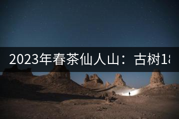2023年春茶仙人山：古樹1800-2500元／公斤，老曼峨：小樹：600元／公斤 1600-1800元／公斤