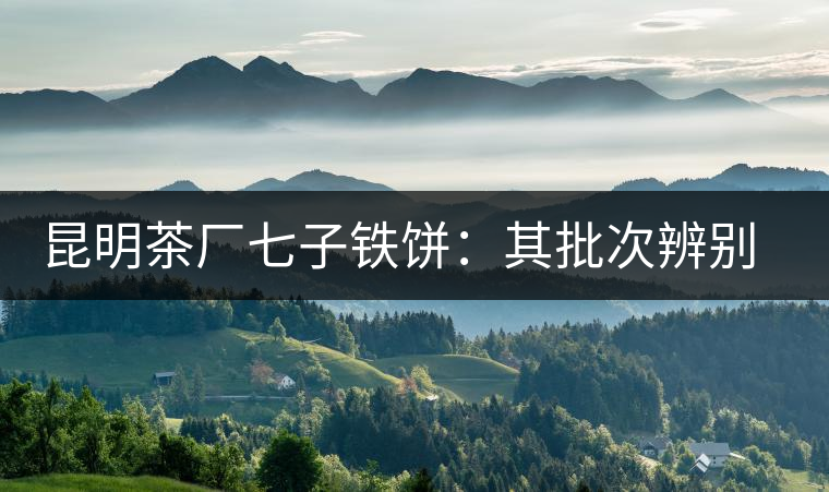 昆明茶廠七子鐵餅：其批次辨別、配方、年份大盤點！