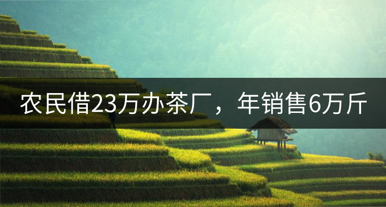 農(nóng)民借23萬辦茶廠，年銷售6萬斤，每天休息僅20分鐘!農(nóng)民借23萬辦茶廠，年銷售6萬斤，每天休息僅20分鐘！