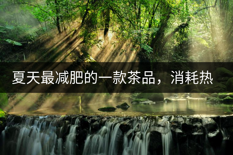 夏天最減肥的一款茶品,消耗熱量,此茶燃燒你的卡路里 夏天最減肥的一款茶品,消耗熱量,此茶燃燒你的卡路里