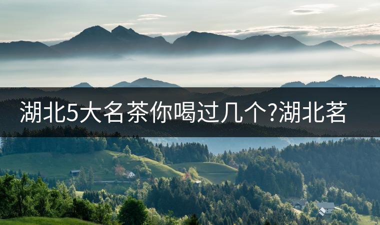 湖北5大名茶你喝過幾個?湖北茗茶的歷史故事?湖北茶哪...湖北5大名茶你喝過幾個？湖北茗茶的歷史故事？湖北茶哪個產地好