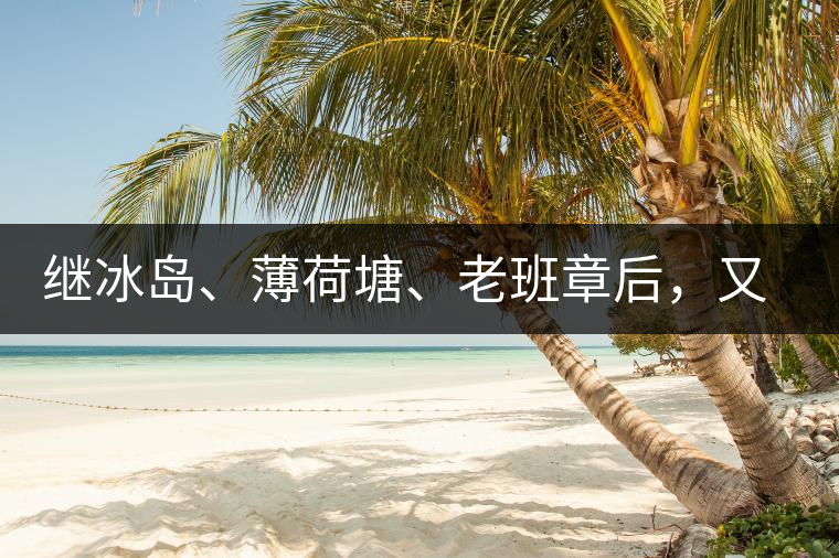 繼冰島、薄荷塘、老班章后，又一個被追捧的山頭茶火了！