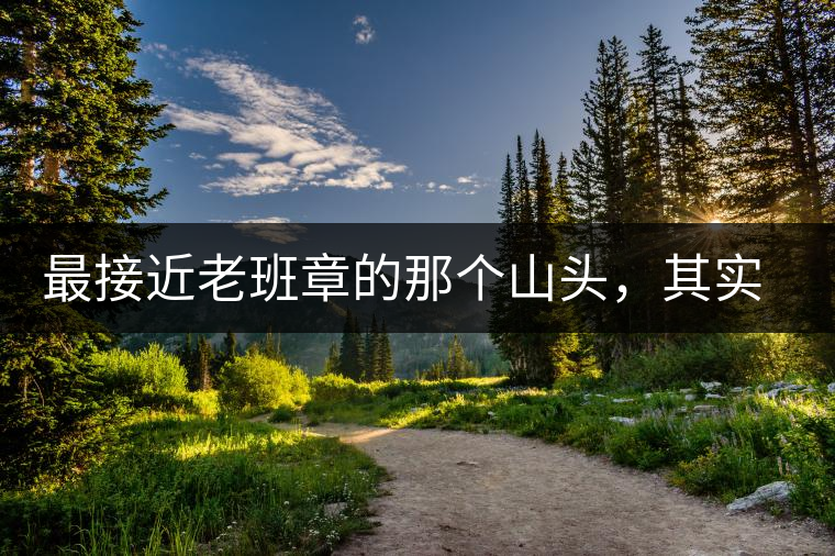 最接近老班章的那個山頭，其實叫做曼新竜