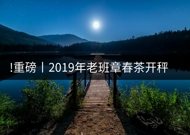 !重磅丨2019年老班章春茶開秤，一筆定價？如此出人意料！