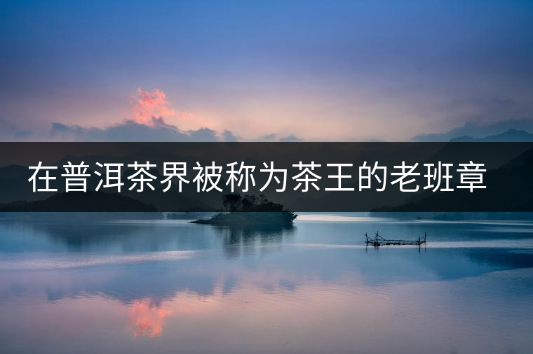 在普洱茶界被稱為茶王的老班章，為何有人愛有人恨？