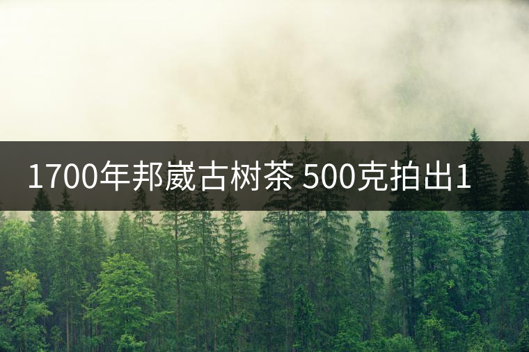 1700年邦崴古樹茶 500克拍出18萬元天價