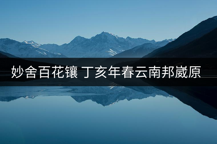 妙舍百花鑲 丁亥年春云南邦崴原生態古法曬青甘木古茶 妙舍百花鑲 丁亥年春云南邦崴原生態古法曬青甘木古茶