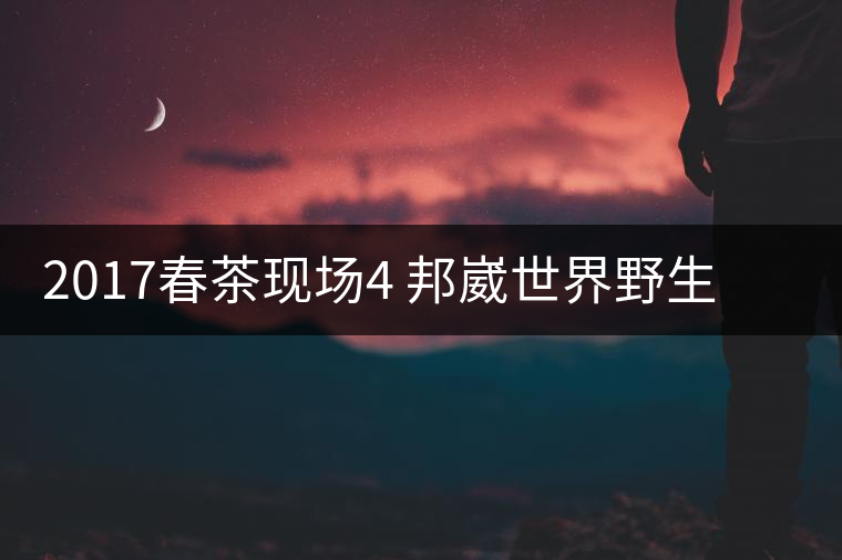 2017春茶現場4 邦崴世界野生過渡型茶王長啥樣?之枝丫2017春茶現場4 邦崴世界野生過渡型茶王長啥樣？之枝丫