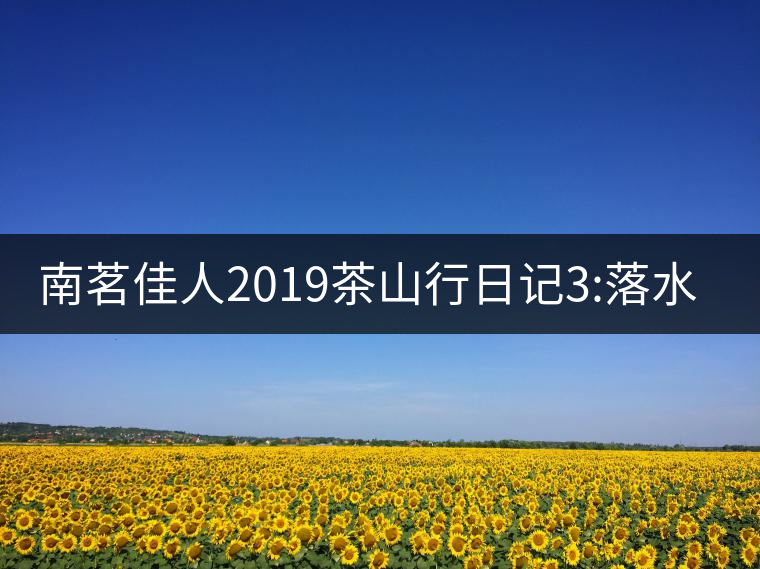 南茗佳人2019茶山行日記3:落水洞--200多年建村歷史，...南茗佳人2019茶山行日記3：落水洞——200多年建村歷史，靈動清越