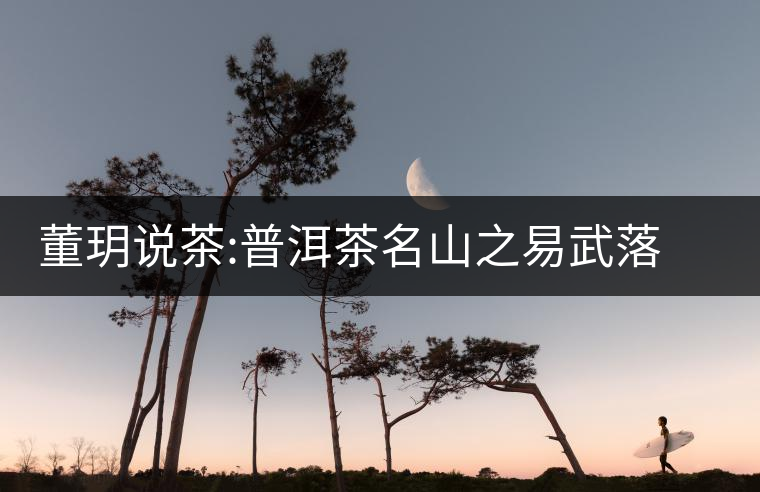 董玥說茶:普洱茶名山之易武落水洞董玥說茶：普洱茶名山之易武落水洞