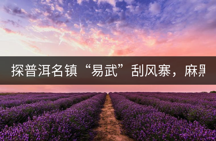 探普洱名鎮“易武”刮風寨，麻黑，落水洞!小編親自下...探普洱名鎮“易武”刮風寨，麻黑，落水洞！小編親自下手“殺青”