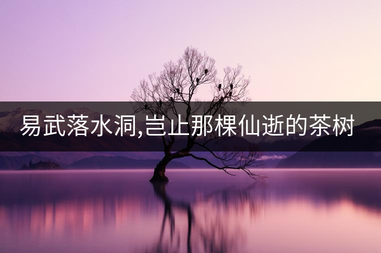 易武落水洞,豈止那棵仙逝的茶樹王?易武落水洞,豈止那棵仙逝的茶樹王? 易武落水洞,豈止那棵仙逝的茶樹王?易武落水洞,豈止那棵仙逝的茶樹王?