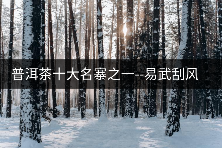 普洱茶十大名寨之一--易武刮風寨普洱茶十大名寨之一——易武刮風寨