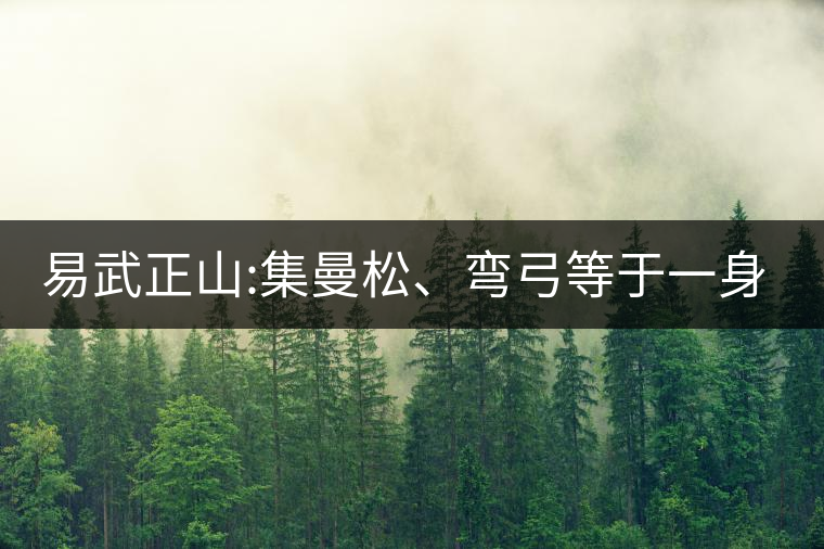 易武正山:集曼松、彎弓等于一身的貴族老黃片，好喝沒得...易武正山：集曼松、彎弓等于一身的貴族老黃片，好喝沒得說