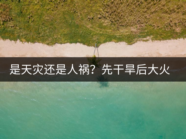 是天災(zāi)還是人禍？先干旱后大火，普洱茶將何去何從？