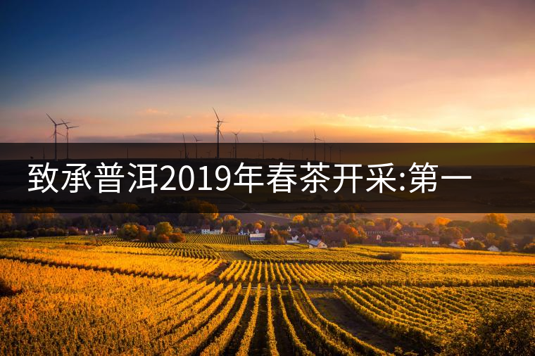 致承普洱2019年春茶開采:第一站易武天門山致承普洱2019年春茶開采:第一站易武天門山 致承普洱2019年春茶開采:第一站易武天門山致承普洱2019年春茶開采:第一站易武天門山