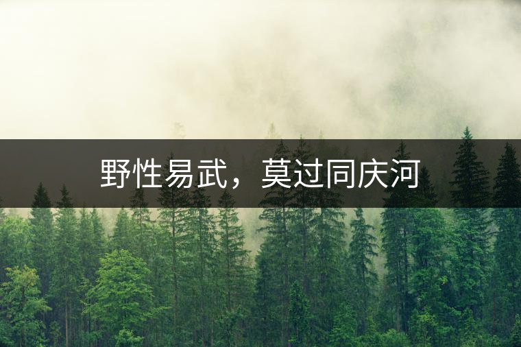野性易武,莫過同慶河 野性易武,莫過同慶河