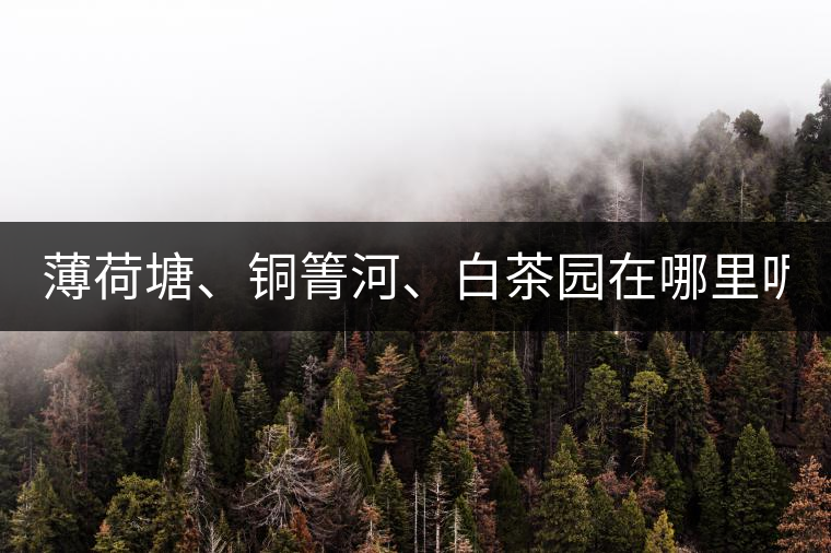 薄荷塘、銅箐河、白茶園在哪里呢?薄荷塘、銅箐河、白茶園在哪里呢？