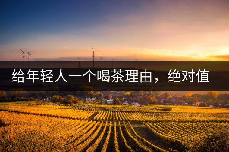 給年輕人一個喝茶理由，絕對值得收藏的茶葉包裝給年輕人一個喝茶理由，絕對值得收藏的茶葉包裝