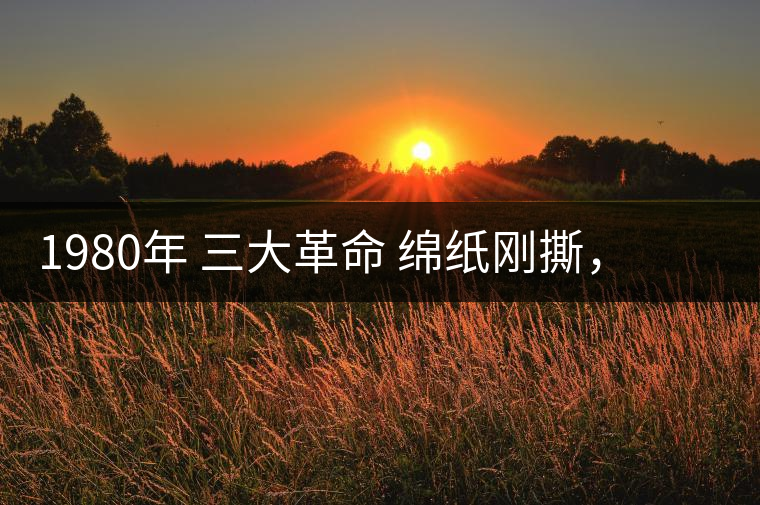 1980年 三大革命 綿紙剛撕,品相極好,整體干凈漂亮1980年 三大革命 綿紙剛撕,品相極好,整體干凈漂亮 1980年 三大革命 綿紙剛撕,品相極好,整體干凈漂亮1980年 三大革命 綿紙剛撕,品相極好,整體干凈漂亮