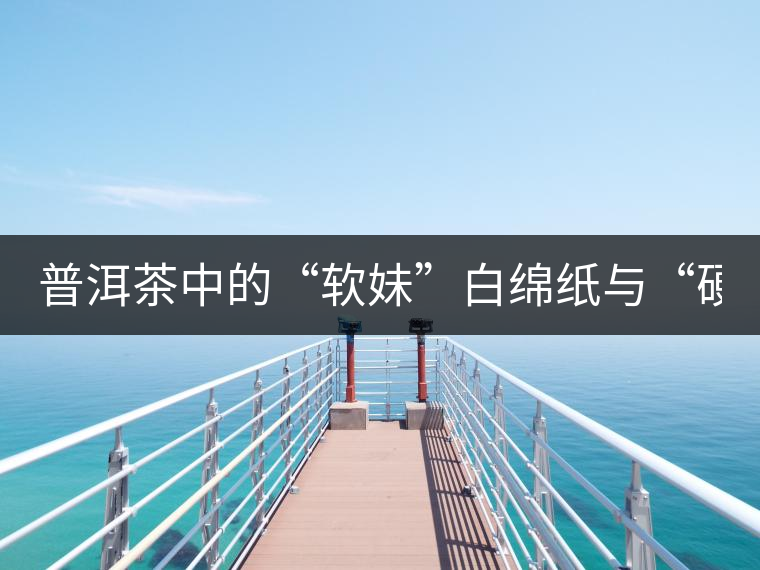 普洱茶中的“軟妹”白綿紙與“硬漢”毛竹殼是如何走...普洱茶中的“軟妹”白綿紙與“硬漢”毛竹殼是如何走到一起的? 普洱茶中的“軟妹”白綿紙與“硬漢”毛竹殼是如何走...普洱茶中的“軟妹”白綿紙與“硬漢”毛竹殼是如何走到一起的?