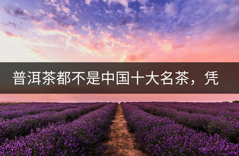 普洱茶都不是中國十大名茶,憑什么還是“可以喝的古董” 普洱茶都不是中國十大名茶,憑什么還是“可以喝的古董”