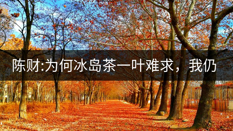 陳財:為何冰島茶一葉難求,我仍然堅持 陳財:為何冰島茶一葉難求,我仍然堅持