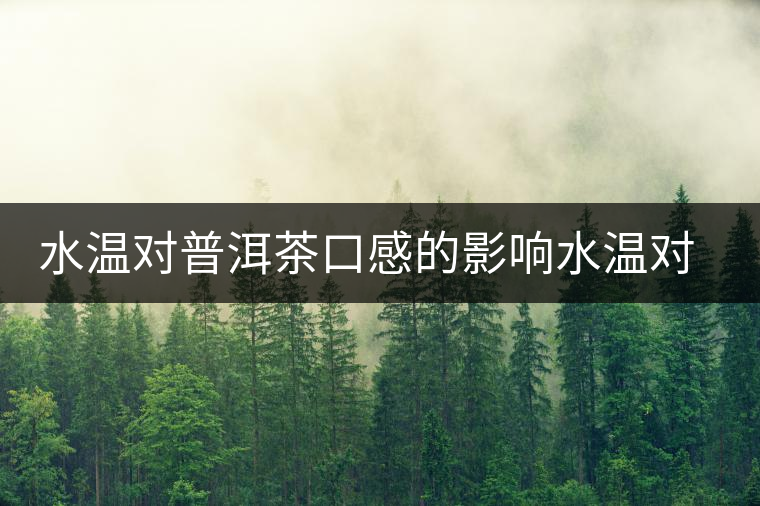 水溫對普洱茶口感的影響水溫對普洱茶口感的影響 水溫對普洱茶口感的影響水溫對普洱茶口感的影響