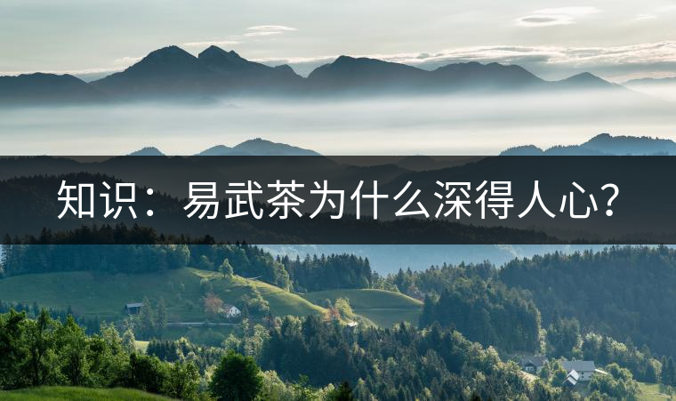 知識:易武茶為什么深得人心? 知識:易武茶為什么深得人心?