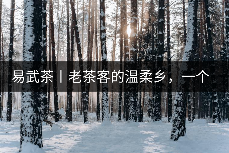 易武茶丨老茶客的溫柔鄉，一個“柔”字迷倒了多少英雄漢！