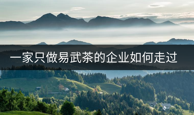 一家只做易武茶的企業如何走過了十年？