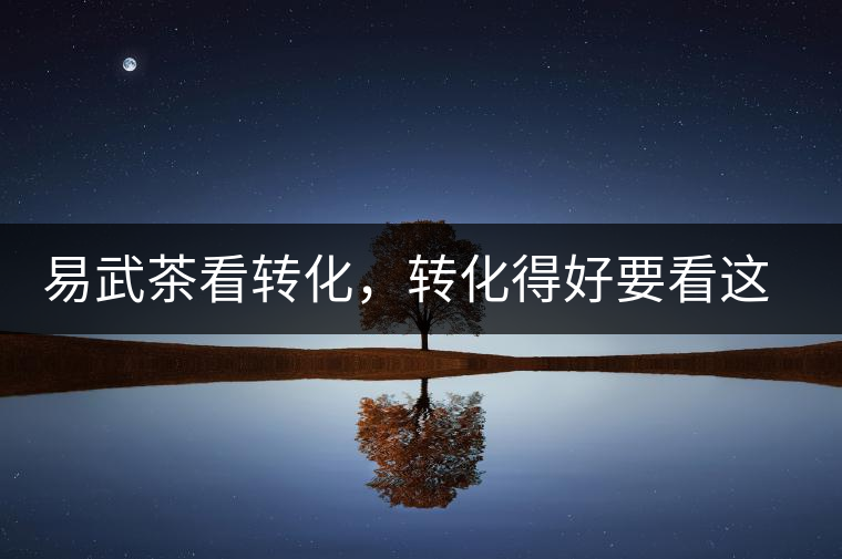 易武茶看轉化，轉化得好要看這三要素及品牌優勢！