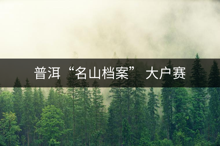 普洱“名山檔案” 大戶賽