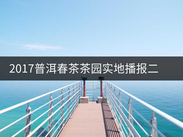 2017普洱春茶茶園實地播報二——臨倉勐庫鎮小戶賽