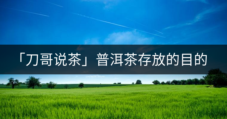 「刀哥說茶」普洱茶存放的目的,是為了轉(zhuǎn)化它的苦澀生青 「刀哥說茶」普洱茶存放的目的,是為了轉(zhuǎn)化它的苦澀生青