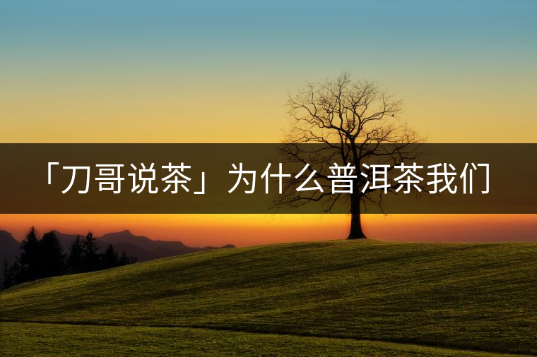 「刀哥說茶」為什么普洱茶我們情愿選三無? 「刀哥說茶」為什么普洱茶我們情愿選三無?