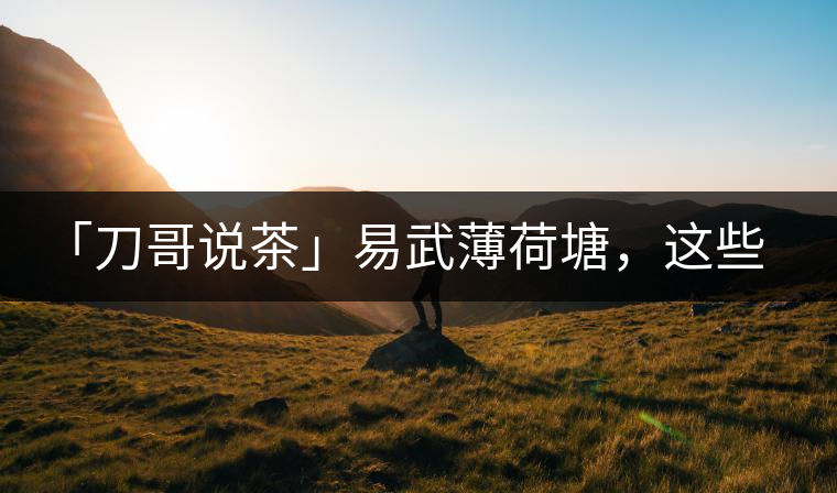 「刀哥說茶」易武薄荷塘,這些冷知識你該知道 「刀哥說茶」易武薄荷塘,這些冷知識你該知道