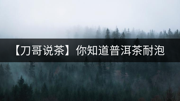 【刀哥說茶】你知道普洱茶耐泡,那你知道哪一類普洱茶比較耐泡? 【刀哥說茶】你知道普洱茶耐泡,那你知道哪一類普洱茶比較耐泡?