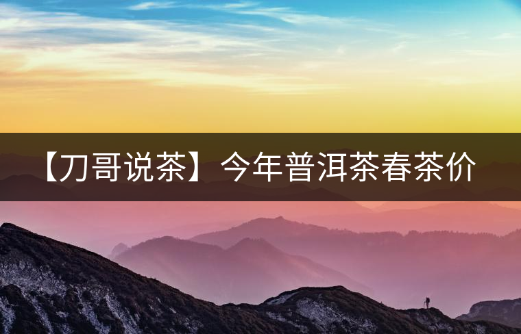 【刀哥說茶】今年普洱茶春茶價格,我不預測 【刀哥說茶】今年普洱茶春茶價格,我不預測